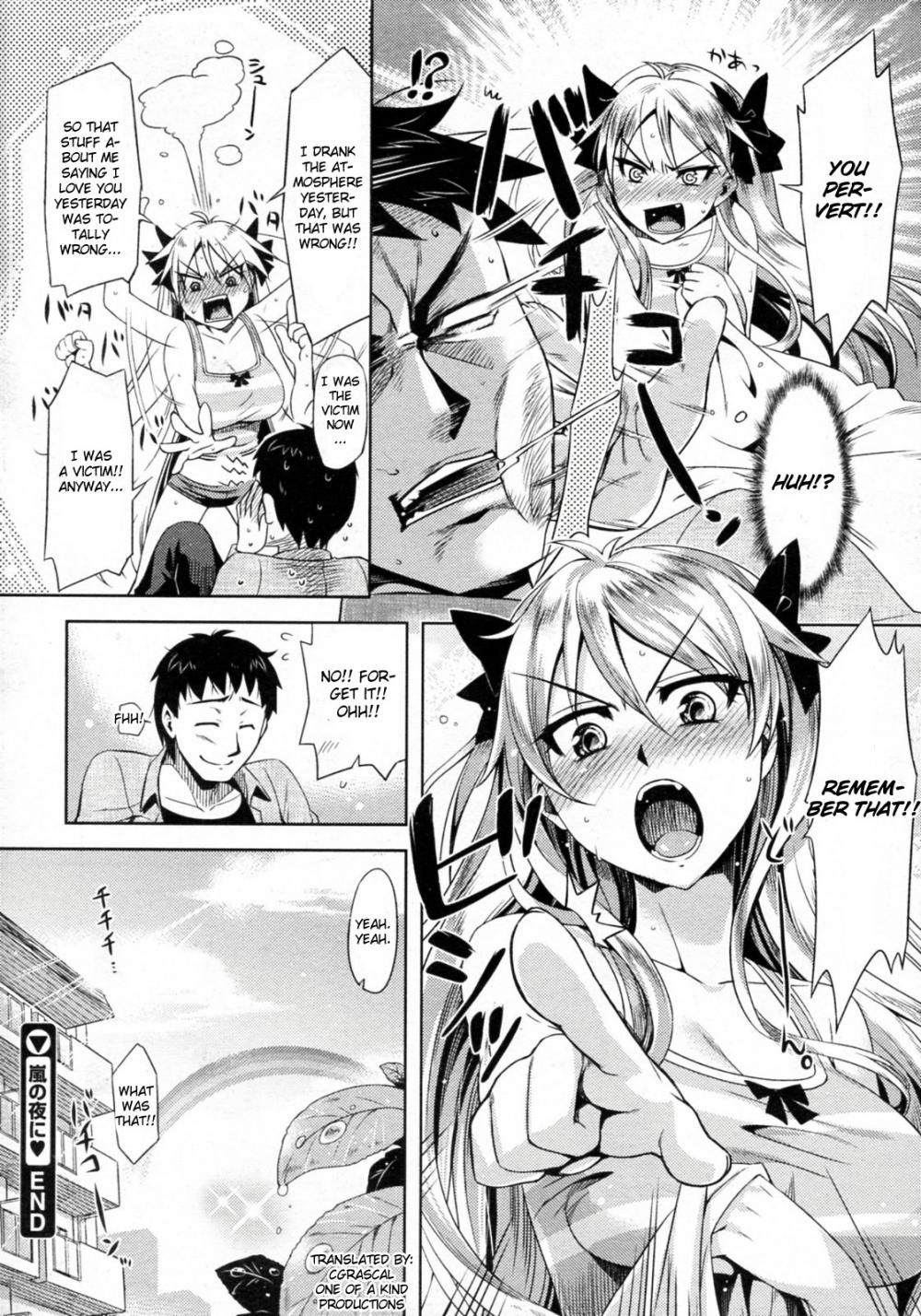 Hentai Manga Comic-Arashi no Yoru Ni-Read-20